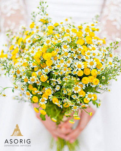 گل-دیزی0گروه-تشریفات-عروسی-آسوریگ