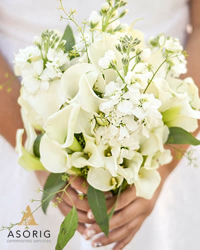 گل-نیلوفرهای-لیلی-گروه-تشریفات-عروسی-آسوریگ