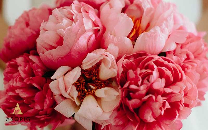 نکاتی-که-هنگام-خرید-گل-مناسب-خواستگاری-باید-به-یاد-داشته-باشید-تشریفات-عروسی-آسوریگ